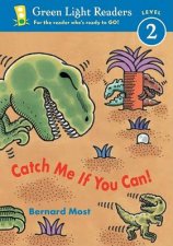 Catch Me If You Can