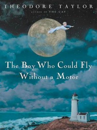 Boy Who Could Fly Without a Motor by TAYLOR THEODORE