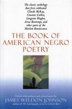 Book of American Negro Poetry