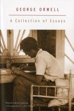 Collection Of Essays