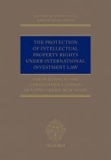The Protection of Intellectual Property Rights Under International Investment Law