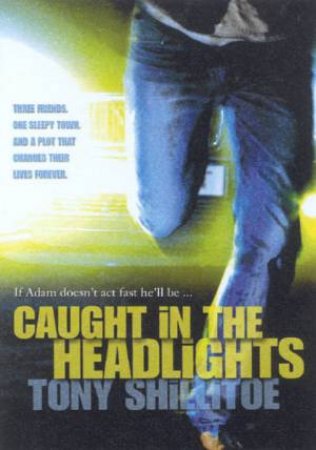 Caught In The Headlights by Tony Shillitoe