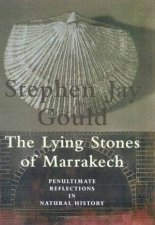The Lying Stones Of Marrakech