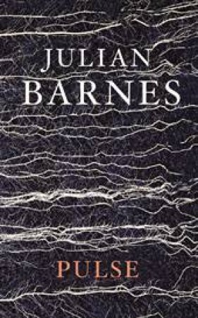 Pulse by Julian Barnes