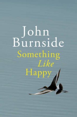 Something Like Happy by John Burnside