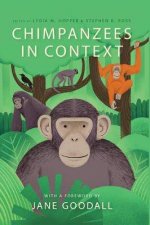 Chimpanzees In Context