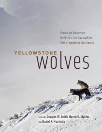 Yellowstone Wolves by Douglas W. Smith & Daniel R. Stahler & Daniel R. MacNulty & Jane Goodall