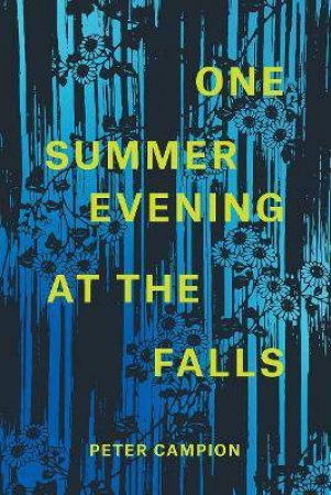 One Summer Evening At The Falls by Various