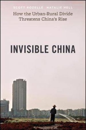 Invisible China by Scott Rozelle & Natalie Hell