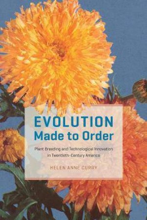 Evolution Made To Order by Helen Anne Curry