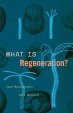 What Is Regeneration