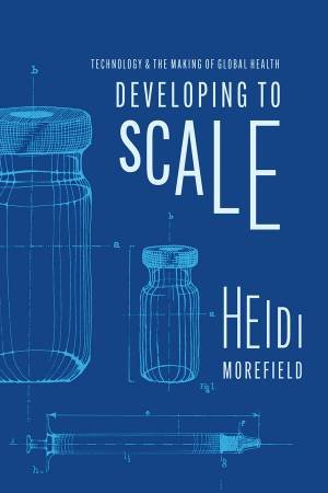 Developing to Scale by Heidi Morefield