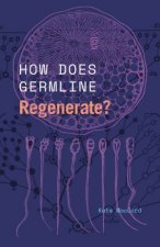 How Does Germline Regenerate