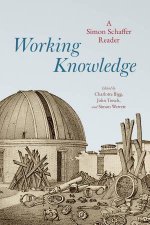 Working Knowledge