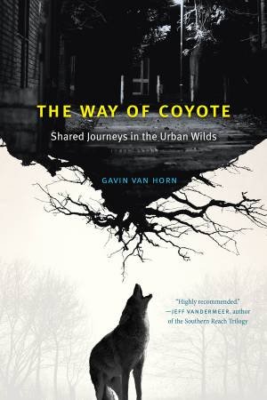 The Way of Coyote by Gavin Van Horn