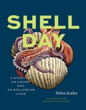 Shell Day