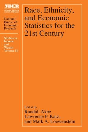 Race, Ethnicity, and Economic Statistics for the 21st Century by Randall Akee & Lawrence F. Katz & Mark A. Loewenstein