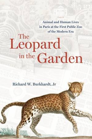 The Leopard in the Garden by Richard W. Burkhardt