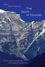 The Work of Disaster