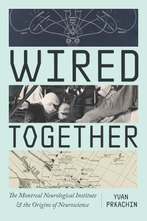 Wired Together by Yvan Prkachin