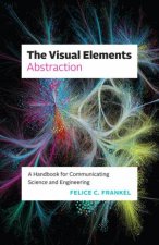 The Visual Elements  Abstraction