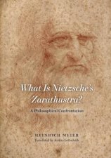 What is Nietzsches Zarathustra