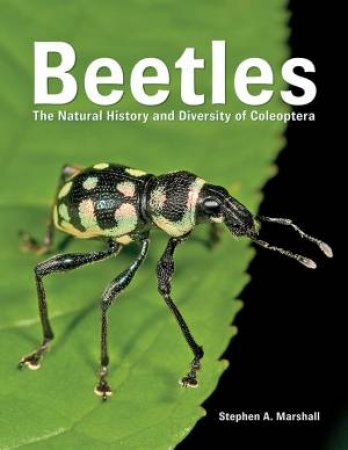 Beetles: The Natural History And Diversity Of Coleoptera by Stephen A. Marshall