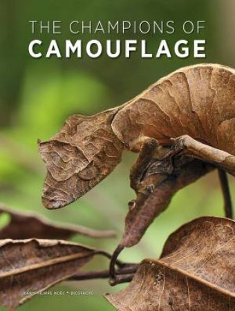 The Champions Of Camouflage by Jean-Philippe Noel