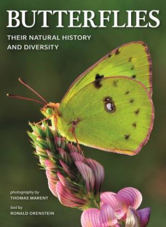 Butterflies: Their Natural History And Diversity by Ronald Orenstein & Thomas Marent