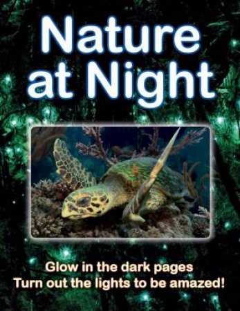 Nature At Night by Lisa Regan