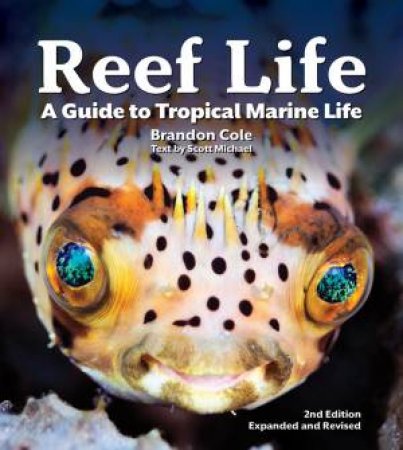 Reef Life: A Guide To Tropical Marine Life by Michael Scott & Brandon Cole