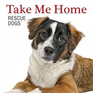 Take Me Home! Rescue Dogs
