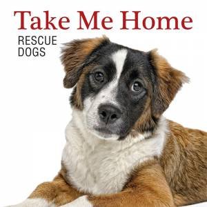 Take Me Home! Rescue Dogs by Andrew Grant