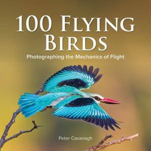 100 Flying Birds by Peter Cavanagh