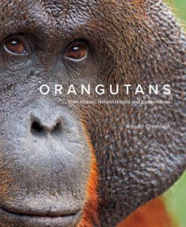 Orangutans: Their History, Natural History and Conservation by RONALD ORENSTEIN