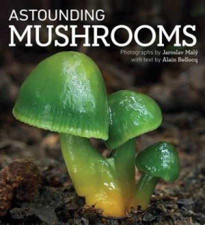 Astounding Mushrooms by Alain Bellocq 