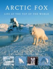 Arctic Fox Life at the Top of the World