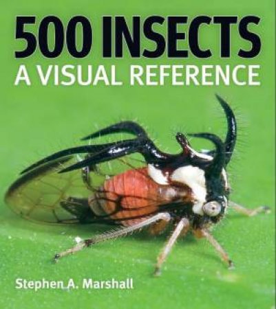500 Insects: A Visual Reference by STEPHEN A. MARSHALL