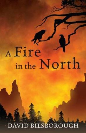 A Fire in the North by David Bilsborough