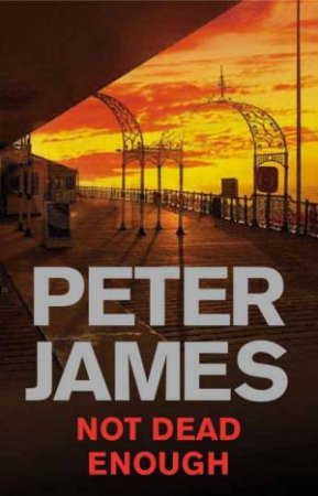Not Dead Enough by Peter James