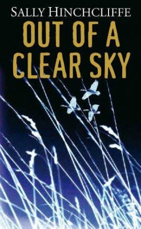 Out of a Clear Sky by Sally Hinchcliffe