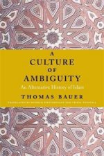 A Culture Of Ambiguity