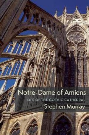 Notre-Dame Of Amiens by Stephen Murray
