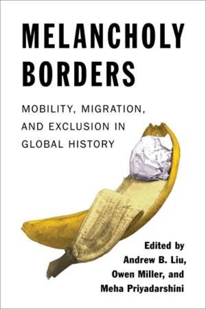 Melancholy Borders by Andrew B. Liu & Owen Miller & Meha Priyadarshini