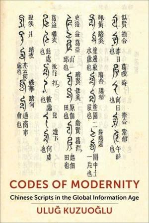Codes of Modernity by Ulug Kuzuoglu