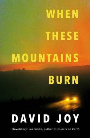 When These Mountains Burn by David Joy