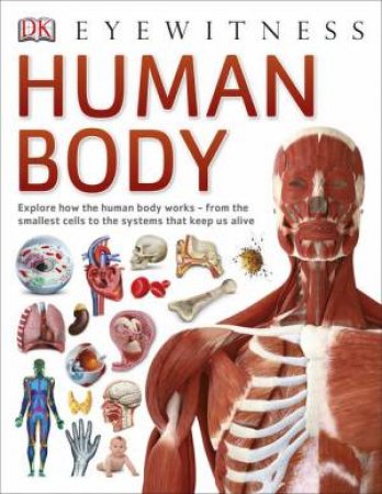 DK Eyewitness: Human Body by Various 