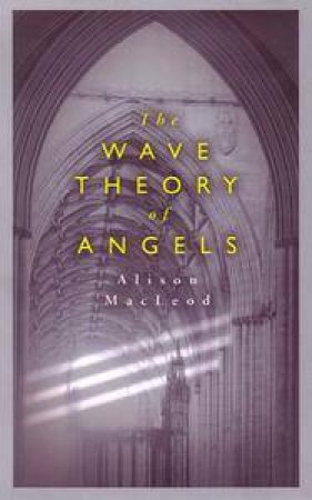 The Wave Theory Of Angels by Alison Macleod