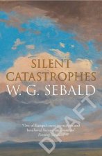 Silent Catastrophes