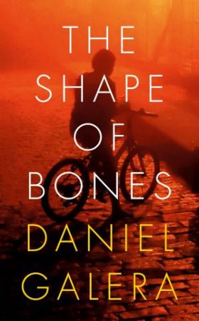 Shape Of Bones The by Daniel Galera